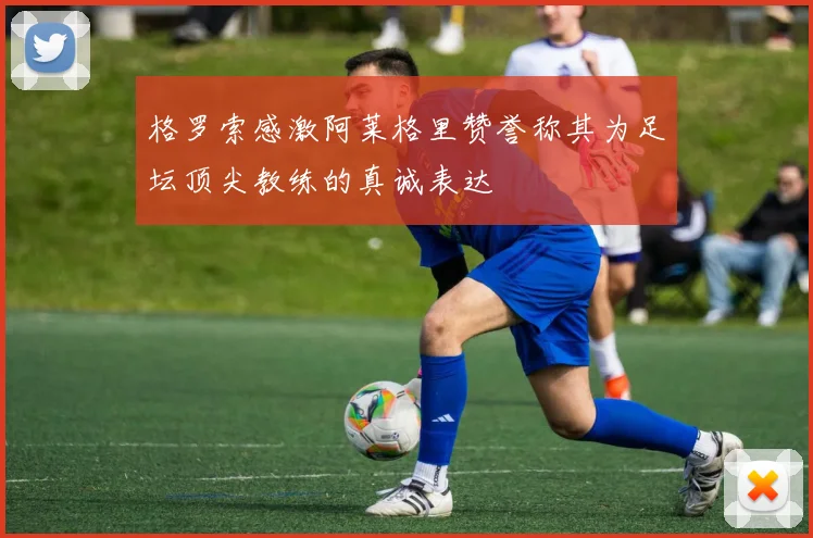 格罗索感激阿莱格里赞誉称其为足坛顶尖教练的真诚表达